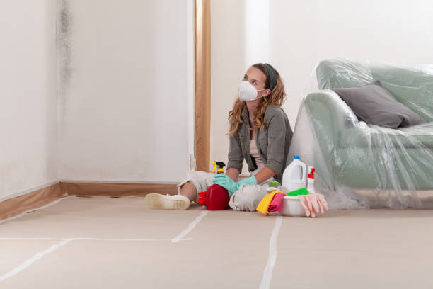 Reliable Mold Removal contractor in Lincroft, NJ by WQB Mold Removal